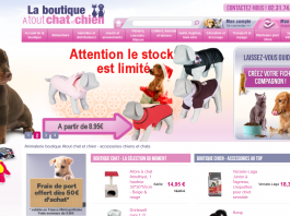 boutique chat chien