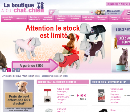 boutique chat chien